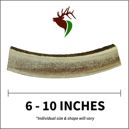 Elkhorn Premium Chews – Elk Antlers for Dogs, X Large (6-10") Split, 1 Pack, All Natural Dog Chew for X Large Dogs, Premium Naturally Shed Antler Bone for Aggressive Chewers, Sourced in the USA