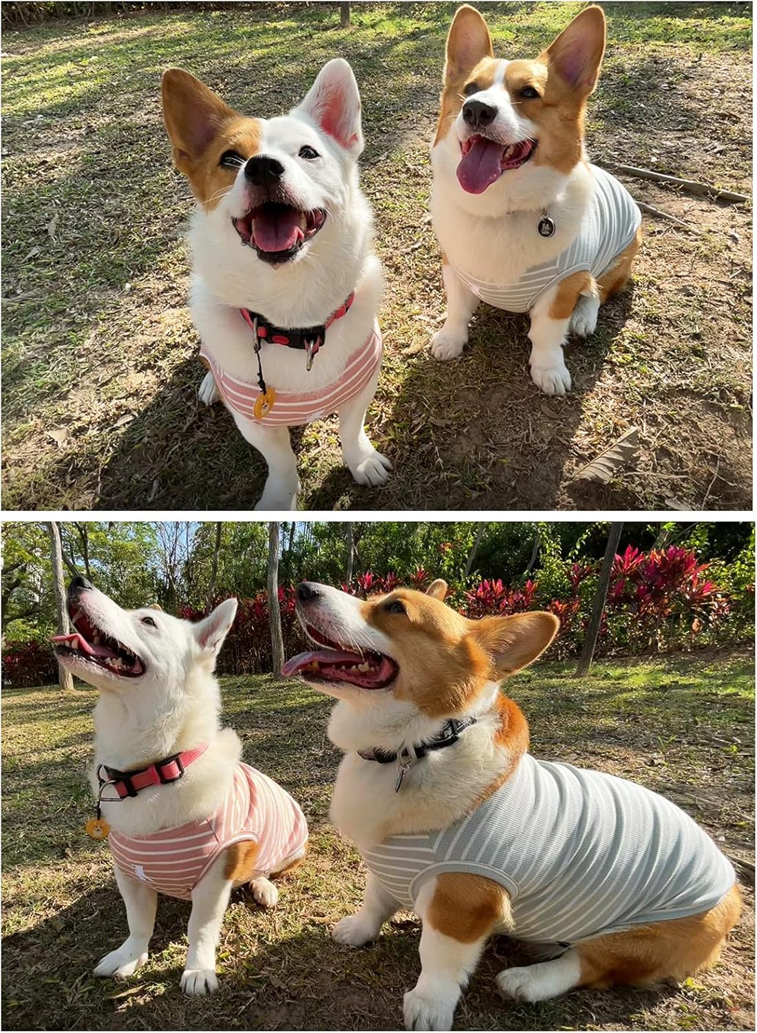 Koneseve Dog Shirt Vest Lightweight Stretchy Dog T-Shirts Soft Cool Sleeveless Stripe Vests Breathable Clothes for Puppy Kitty Cats Small Medium Large Dogs 2 Pack Pink + Green [ S/Small ]