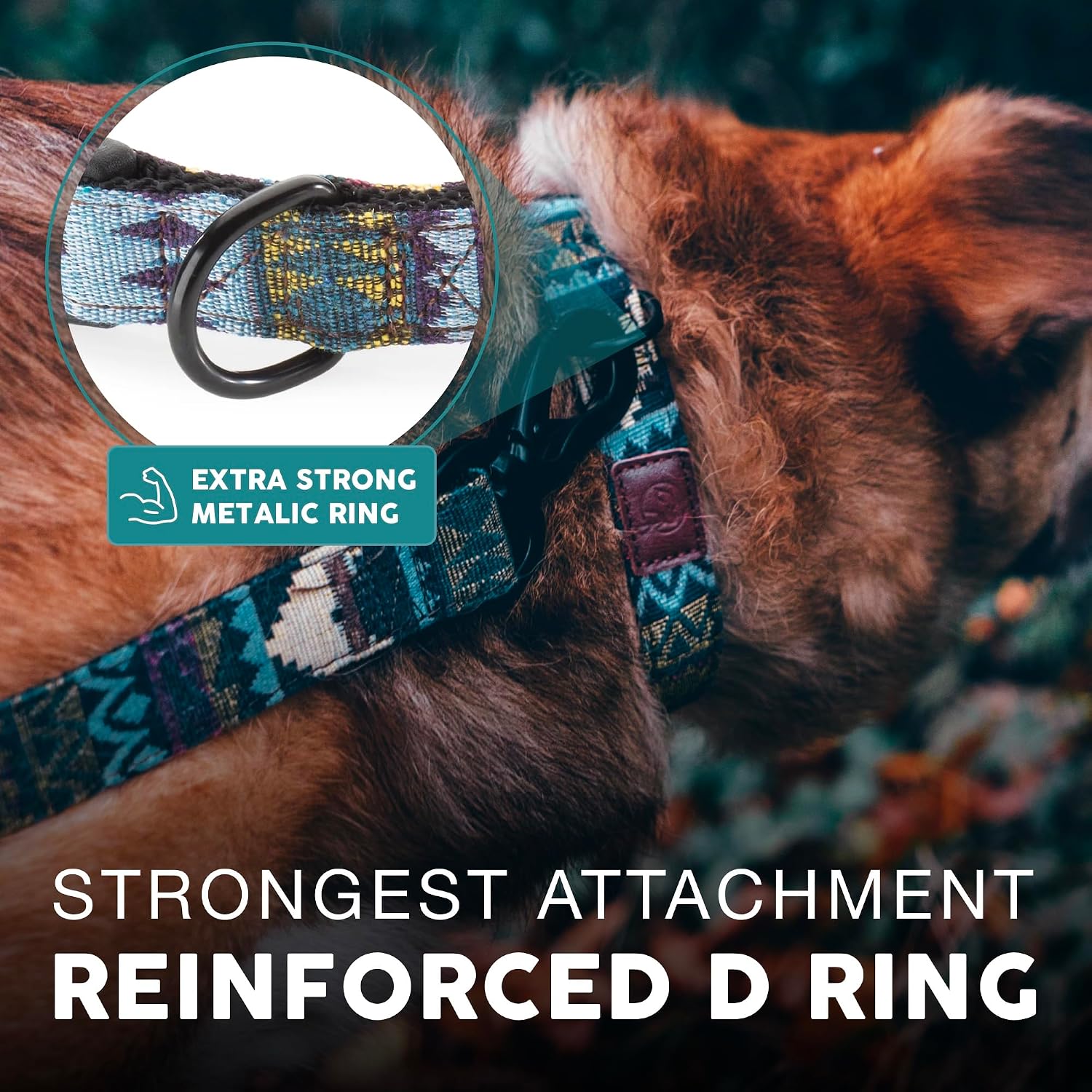 Embark Adventure Large Dog Collar – Stylish, Durable Nylon, Adjustable & Comfortable, Strong Buckle, Suitable for Large Breeds
