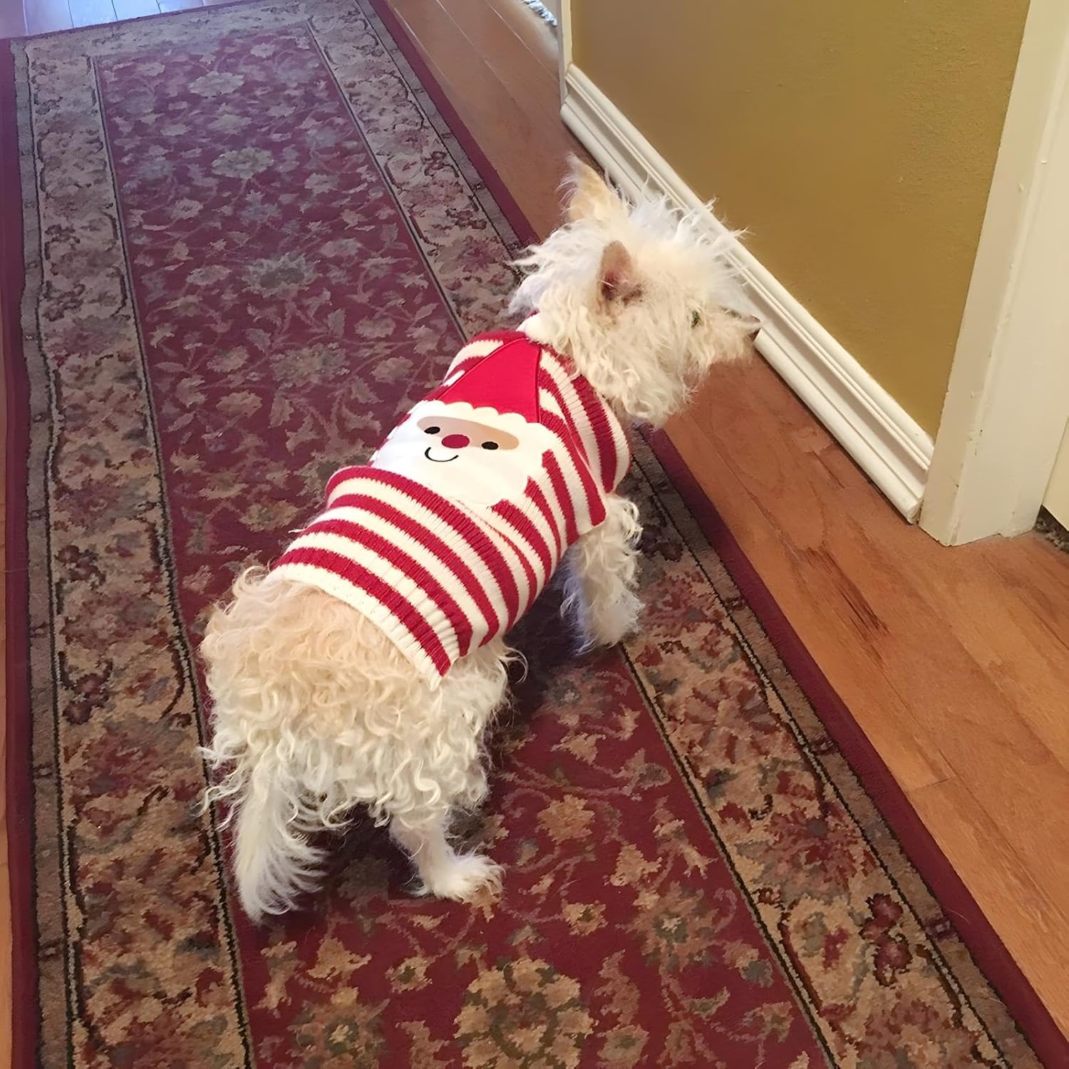 NACOCO Santa Claus Pet Sweater Dog Sweaters Cold Weather Outfit for Small to Medium Sized Dogs and Cats for Christmas Day (Santa Claus, X-Large)
