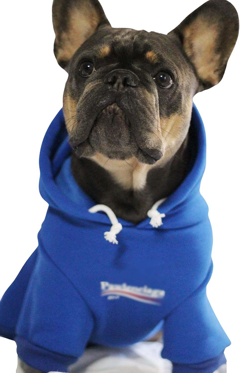 ChoChoCho Stylish Streetwear Blue Dog Sweatshirt Tracksuits, Cats Hoodies, Dog Outfit for Cat Puppy Small Medium (3XL)