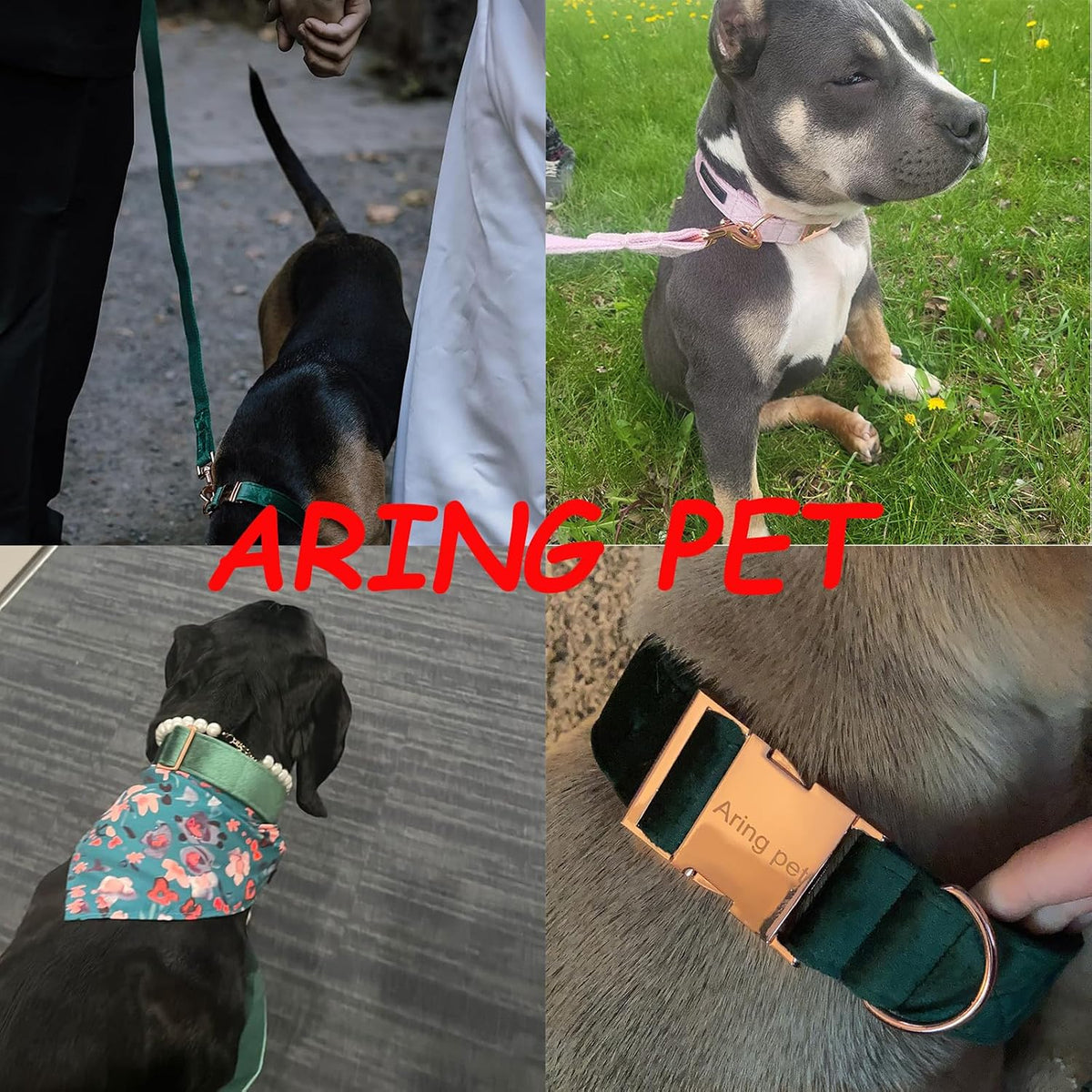 ARING PET Dog Collar and Leash, Velvet Dog Collar and Leash Set, Soft & Comfy, Adjustable Collars for Dogs