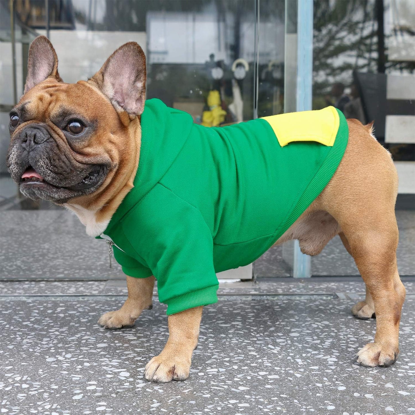iChoue Pug Clothes Hoodies for Dogs Puppy French Bulldog Frenchie English Boston Terrier Bully Pitbull Sweatshirt Sweater Clothing Cold Weather Winter Coats - Green/Small