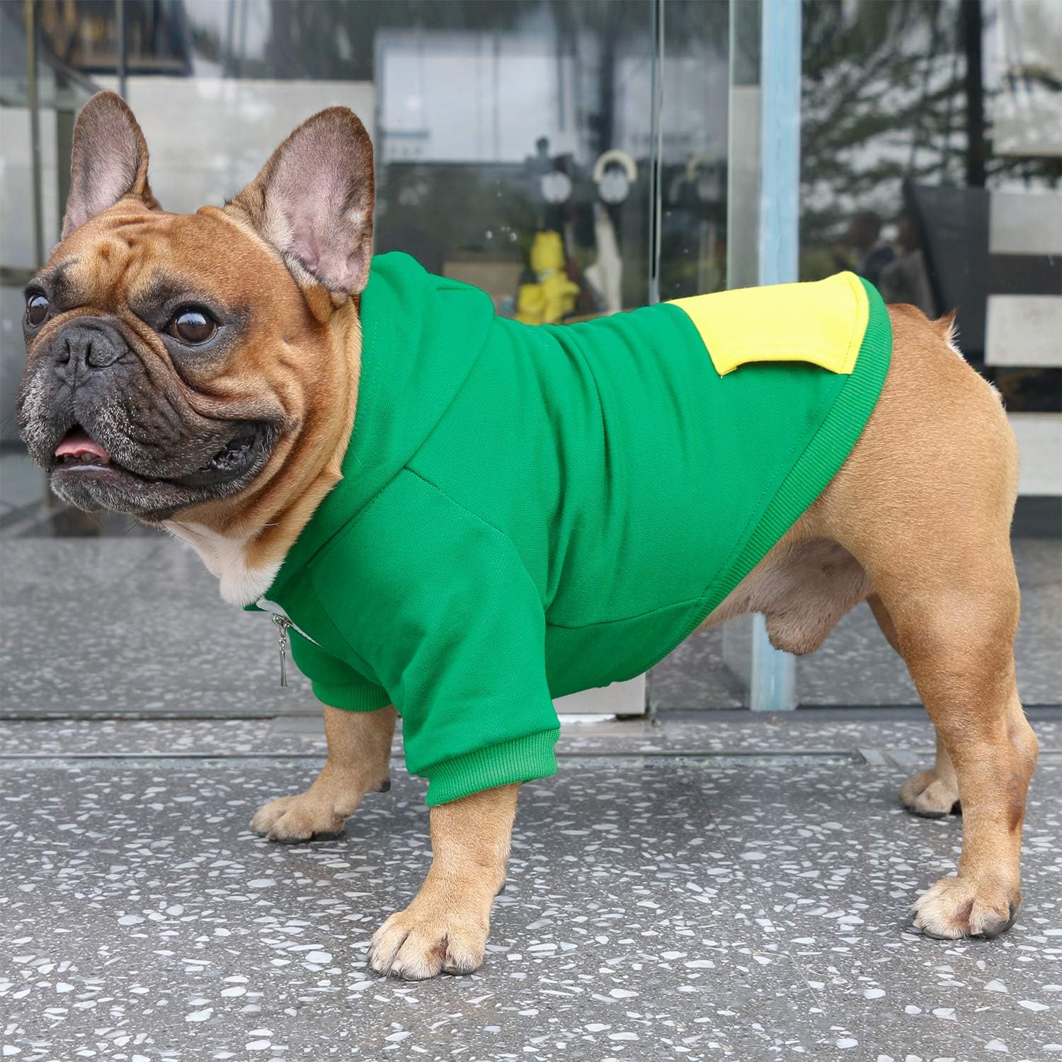 iChoue Pug Clothes Hoodies for Dogs Puppy French Bulldog Frenchie English Boston Terrier Bully Pitbull Sweatshirt Sweater Clothing Cold Weather Winter Coats - Green/Small