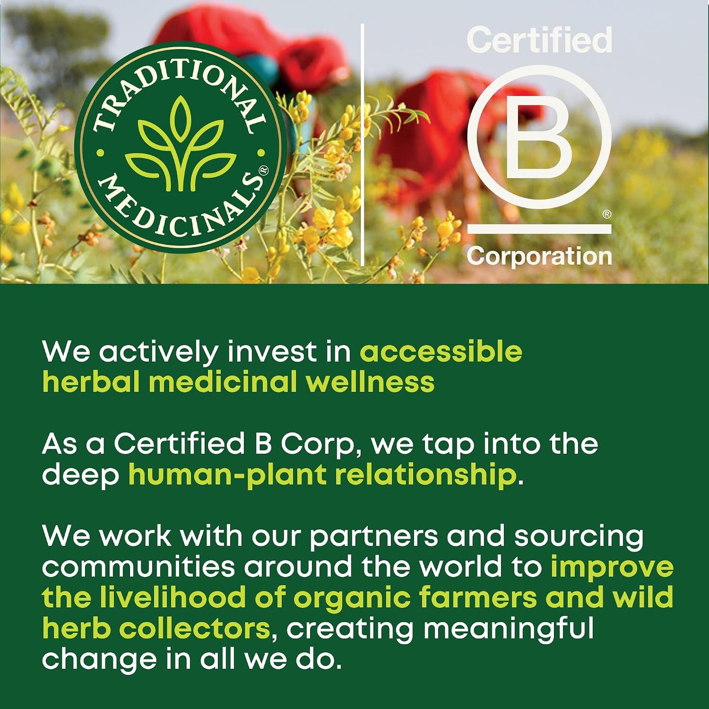 Traditional Medicinals Organic, Throat Coat Lozenges, Lemon Ginger Echinacea - Herbal Cough Drops, Helps Soothe Sore Throat - Non-GMO, Stimulant-Free - 16 Count