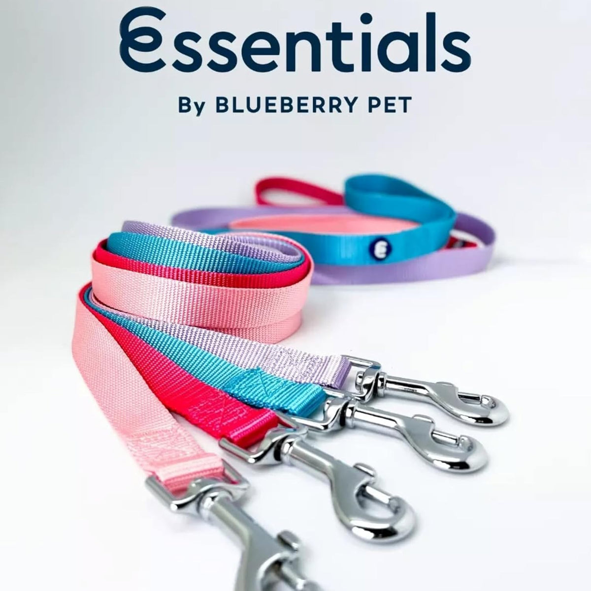 Blueberry Pet Essentials Violet Dog Leash for X-Small -5' * 3/8" Dogs | Heavy Duty Nylon Lead | Lightweight Puppy & Cat Leash for Walking & Training