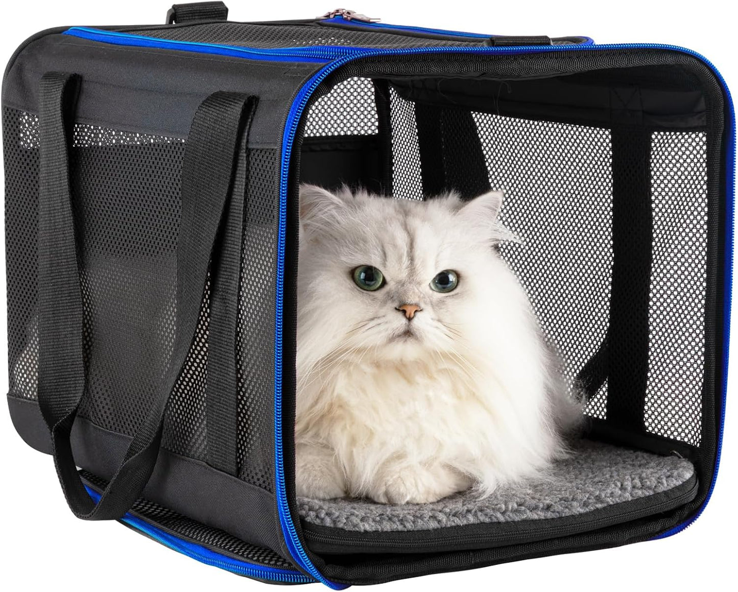 Easy Load Soft Pet Carrier Bag Cat for Medium, Large Cats, Puppy, Sturdy, Collapsible, Comfy, Black w/Blue Trim, L