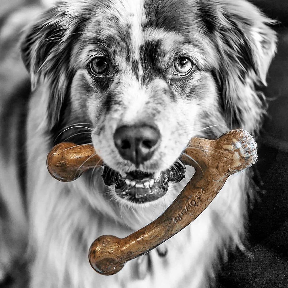 Pet Qwerks Wishbone BarkBone - Nylon Chew Toy for Aggressive Chewers - Bacon Flavor - 5.38"