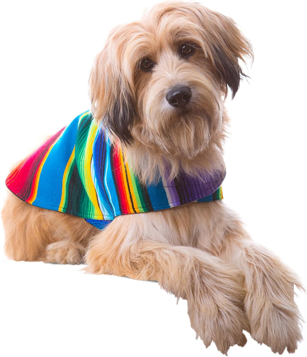 Dog Clothes - Handmade Dog Poncho from Authentic Mexican Blanket by Baja Ponchos (Blue, XXL)