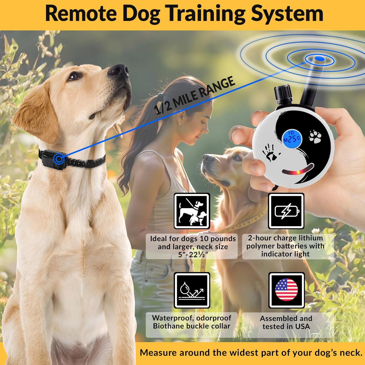 E-Collar Mini Educator ET-300 Remote Dog Training Collar, ZEN | 1/2 Mile Range, Waterproof & Rechargeable, 100 Levels + Vibration + Tone + Light, For 1 Dog Small to Medium