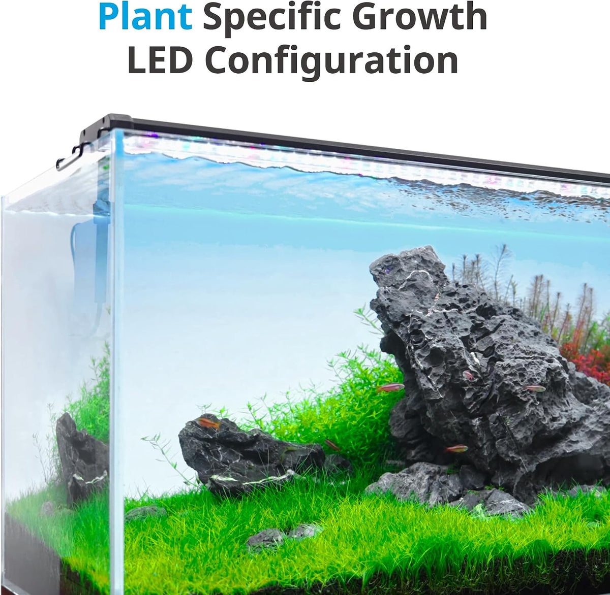 NICREW ClassicLED Plus LED Aquarium Light with Timer, 32 Watts, for 48 to 54 Inch Fish Tank Light, Daylight and Moonlight Cycle