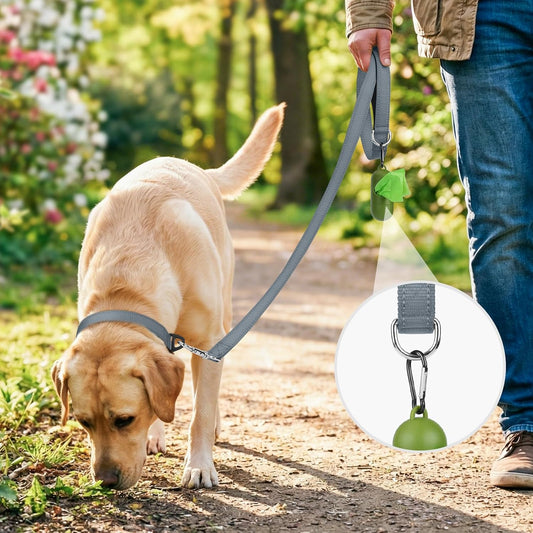 Joytale Dog Leash, 5 FT Double-Sided Reflective, Padded Handle Nylon Heavy Duty Leashes for Small Dogs Walking, Grey