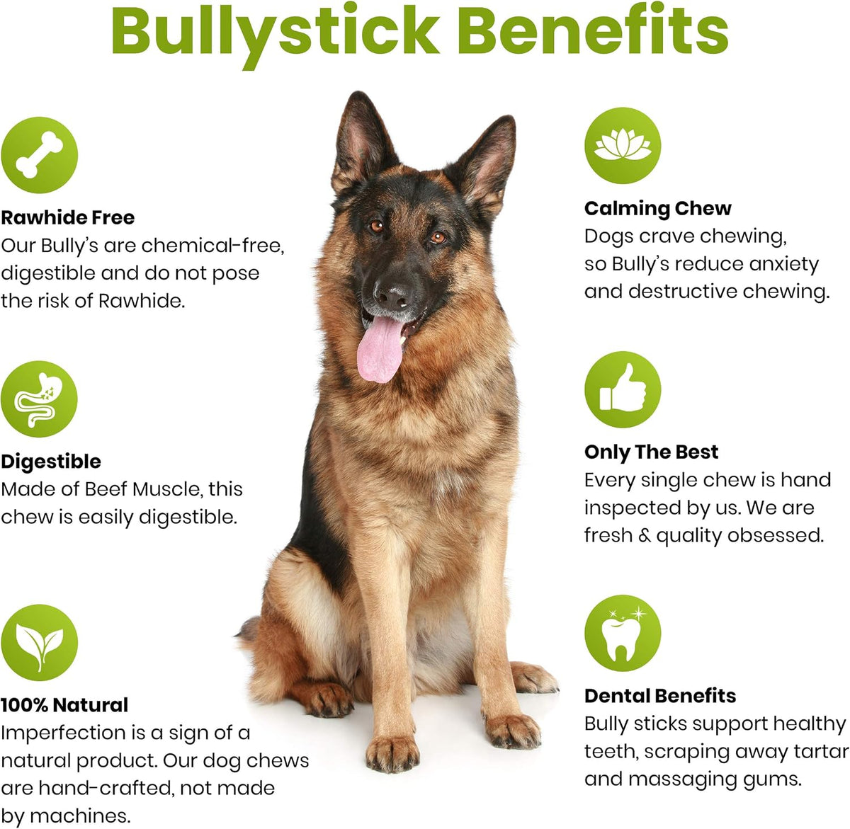 Sancho & Lola's Bully Sticks for Dogs -12-Inch Moderate Odor High-Protein Grain-Free Beef Pizzle Dog Chews