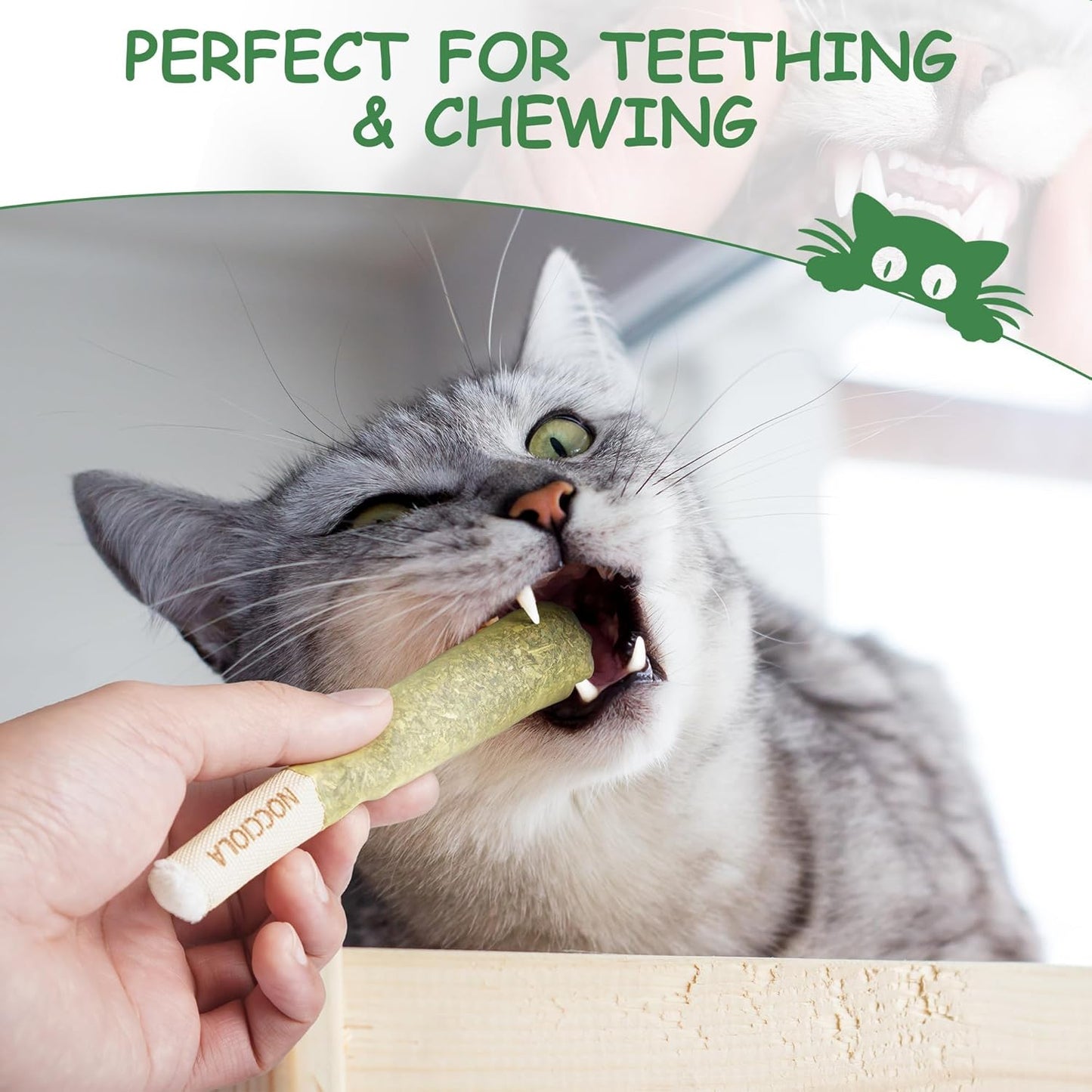 3 Pack Catnip Toys for Cats, Funny Cat Toys Filled with 100% Pure Organic Catnip, Safe Kitten Teething Chew and Kicker Toys, Stress Relieving Fun for Indoor Cats