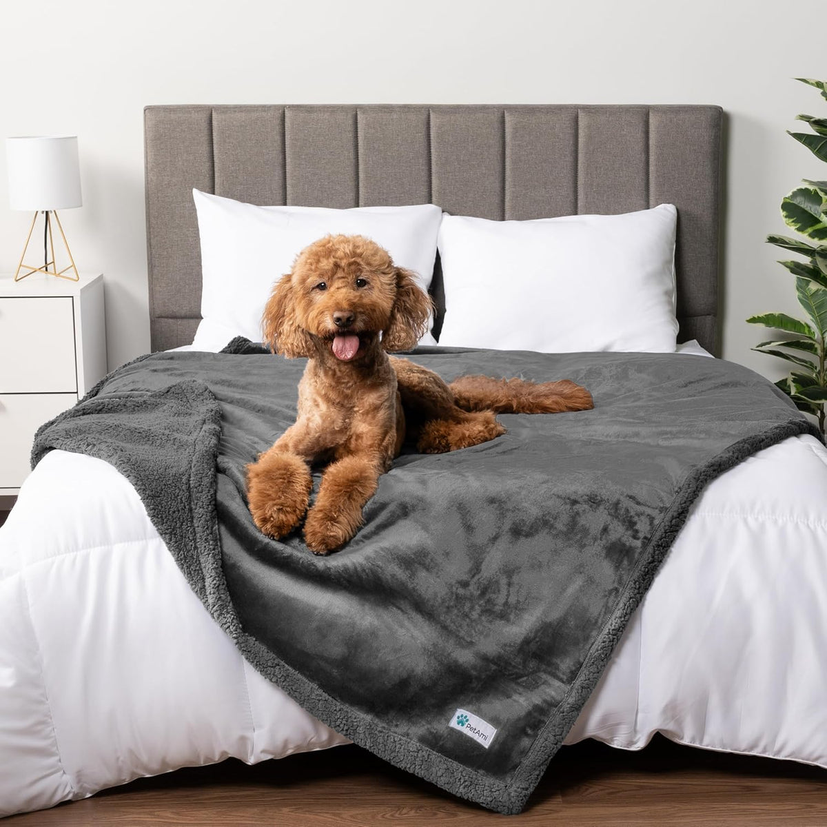 PetAmi Waterproof Dog Blanket for Couch, Queen 90x90, Pee Proof Sherpa Fleece Reversible Pet Throw, Furniture Protector for Bed Sofa, Soft Washable Cover for Large Dogs Cats, Grey Sherpa