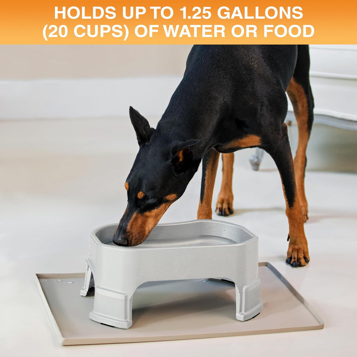 Neater Pet Brands Extra Large Water Bowl for Dogs, Elevated Outdoor Dog Water Bowl (1.25 Gallon XL Capacity), Big Trough Style Food Dish for Indoors or Outside, No Spill Large Dog Bowls, Vanilla Bean