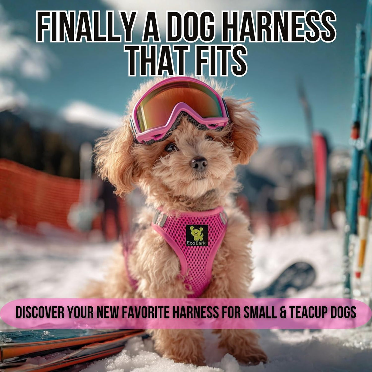 EcoBark Step in Dog Harness - Eco-Bright Teacup Dog Harnesses for XXS, XS, and Small Dogs - Reflective and Adjustable Mini Body Halter Vest -Tiny Soft Mesh Toy Breed Harness (X-Small, Pink)