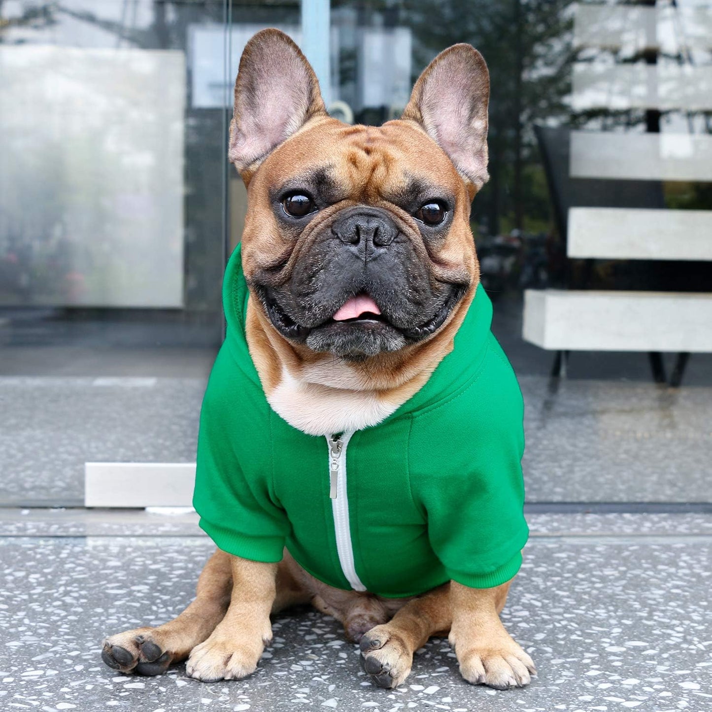 iChoue Pug Clothes Hoodies for Dogs Puppy French Bulldog Frenchie English Boston Terrier Bully Pitbull Sweatshirt Sweater Clothing Cold Weather Winter Coats - Green/Small