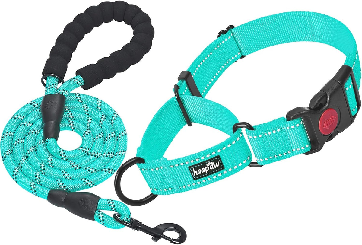haapaw Martingale Dog Collar with Quick Release Buckle Reflective Dog Training Collars for Small Medium Large Dogs