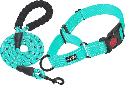 haapaw Martingale Dog Collar with Quick Release Buckle Reflective Dog Training Collars for Small Medium Large Dogs