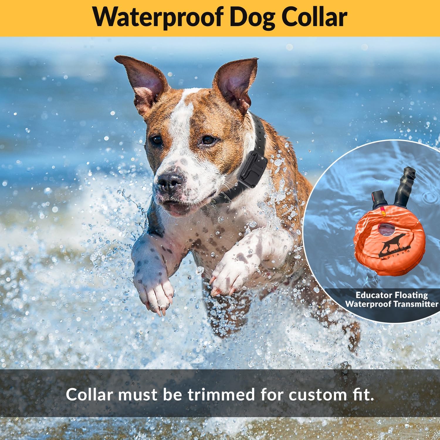 E-Collar Educator Upland Dog Training Collar, Orange, 2 Med/Large Dogs | 100 Levels of Safe Stimulation, 1 Mile Range, Waterproof & Rechargeable, Night Light, Includes Premium Finger Clicker