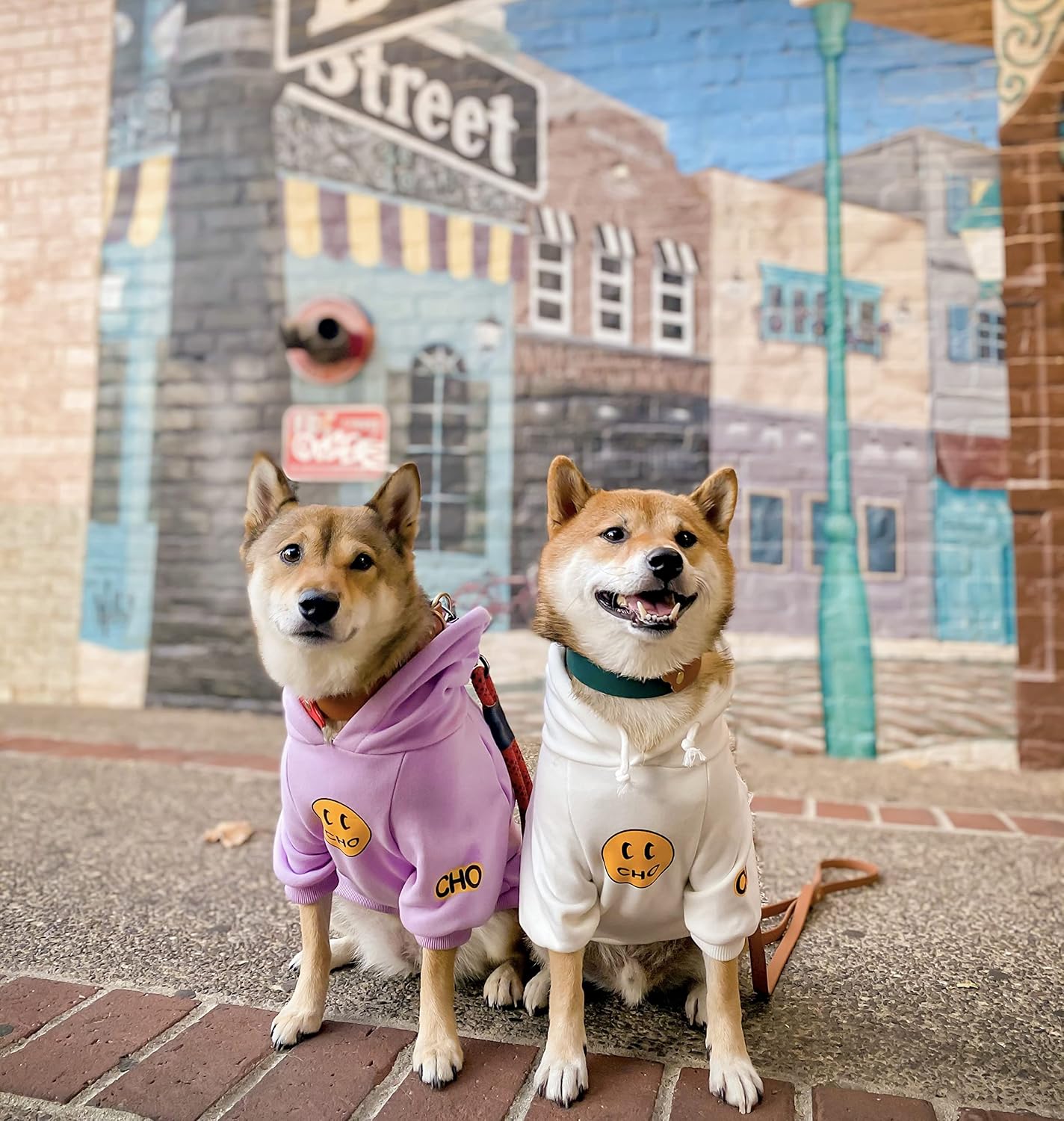 ChoChoCho Smiley Dog Hoodie Stylish Dog Clothes Smiley Face Sweater Cotton Sweatshirt Fashion Outfit for Dogs Cats Puppy Small Medium Large (M, Purple)