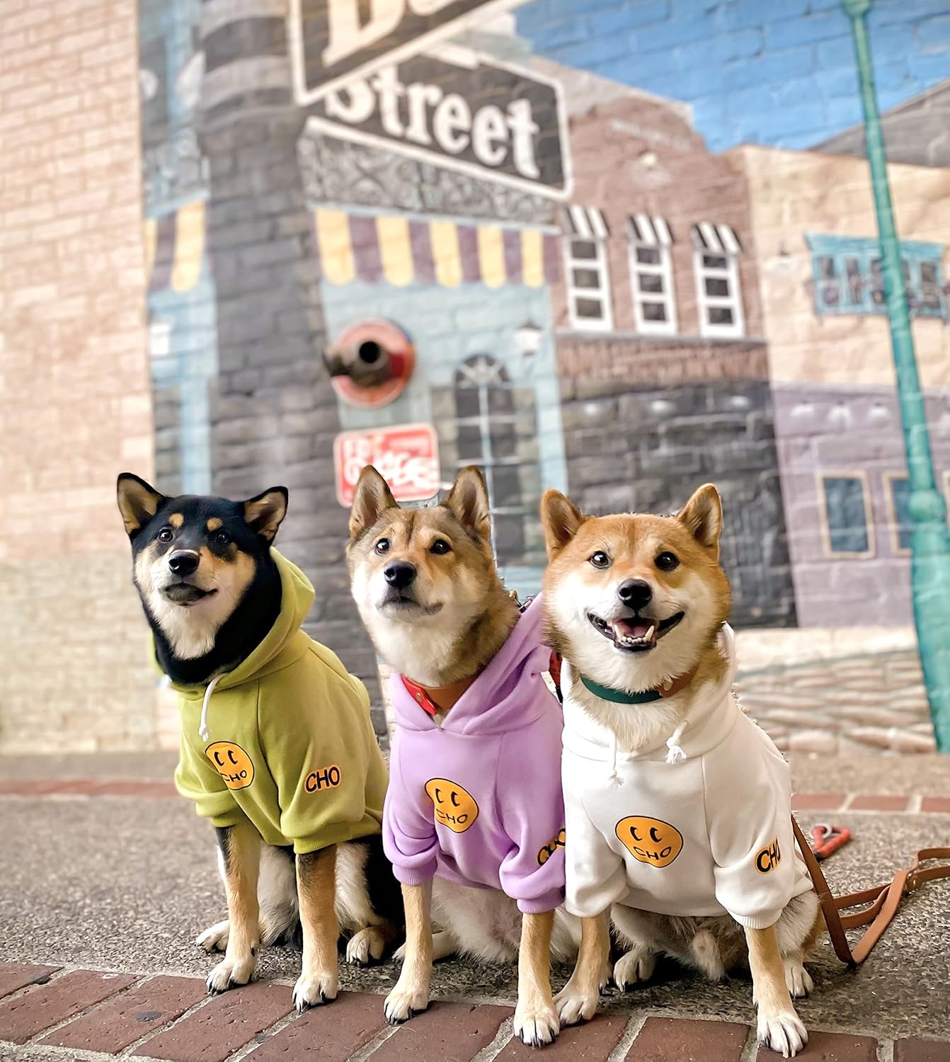 ChoChoCho Smiley Dog Hoodie Stylish Dog Clothes Smiley Face Sweater Cotton Sweatshirt Fashion Outfit for Dogs Cats Puppy Small Medium Large (M, Purple)