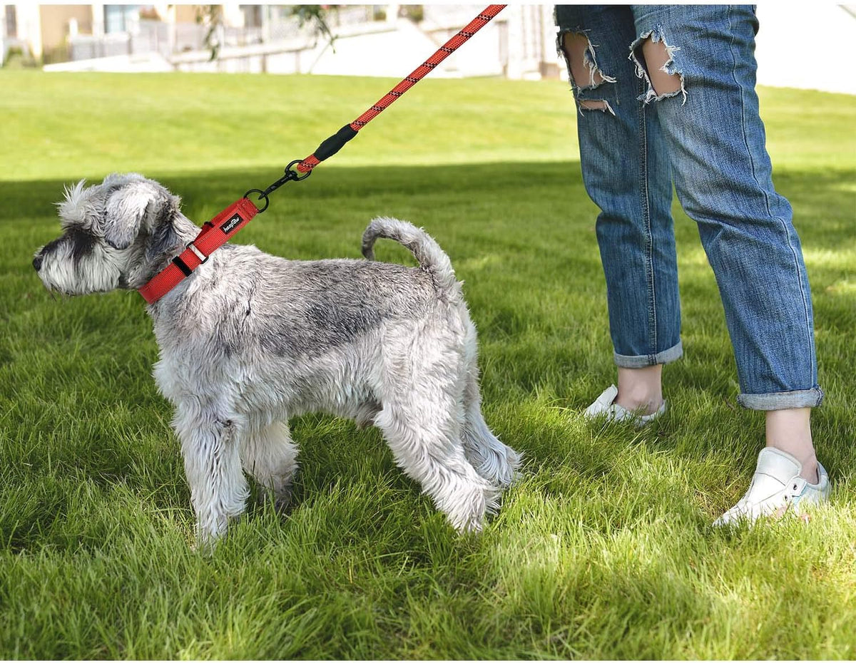 haapaw Martingale Dog Collar with Quick Release Buckle Reflective Dog Training Collars for Small Medium Large Dogs