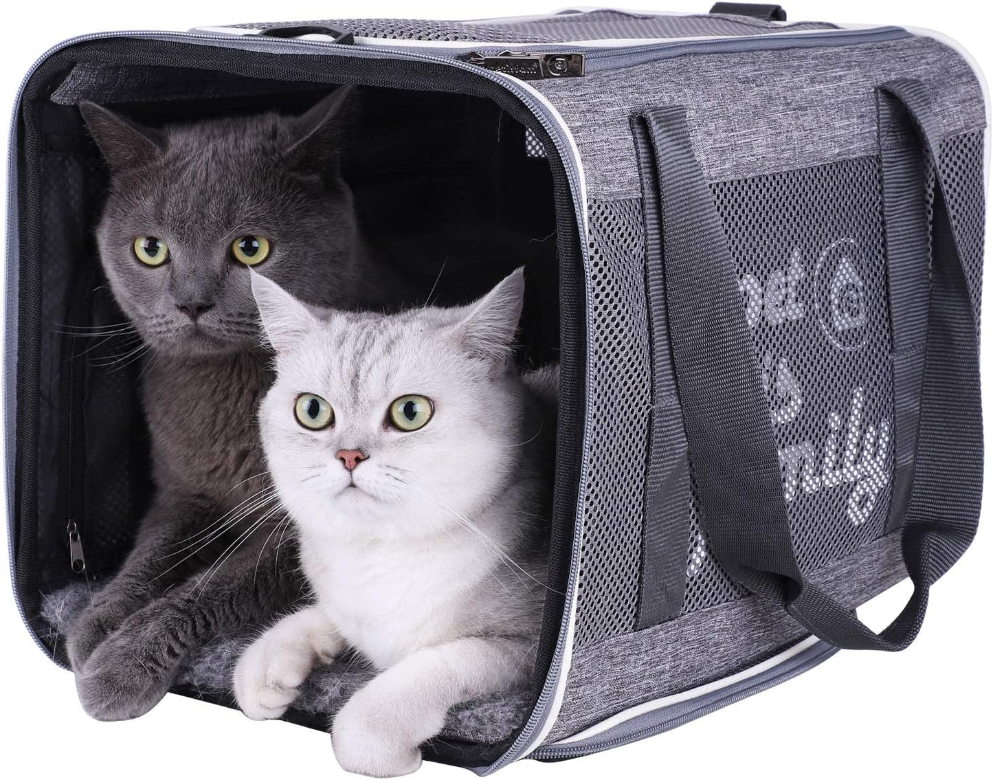 Easy Load Soft Pet Carrier Bag Cat for Medium, Large Cats, Puppy, Sturdy, Collapsible, Comfy, Black w/Blue Trim, L