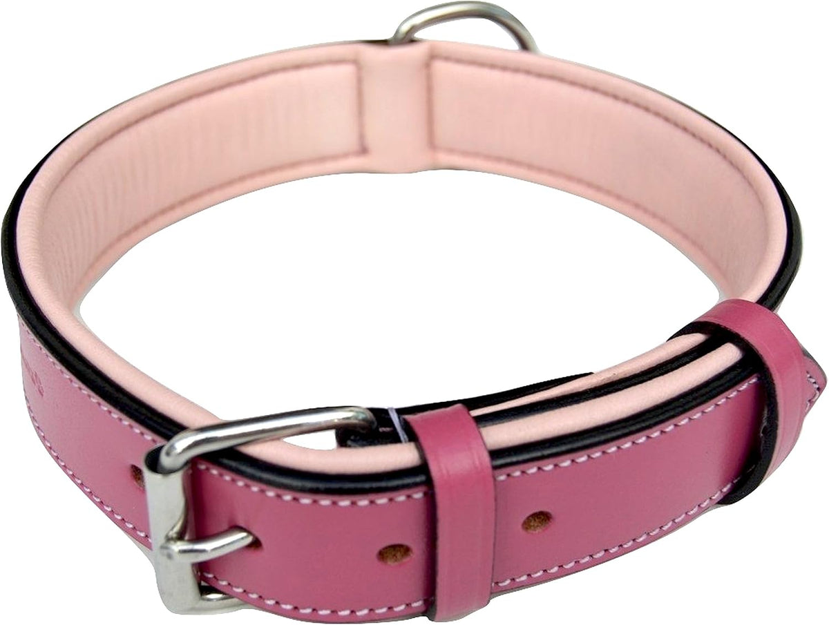 Raspberry Pink Leather Padded Dog Collar, for Large Female Dogs, Made with Genuine Real Leather, 24" Long x 1.5" Wide