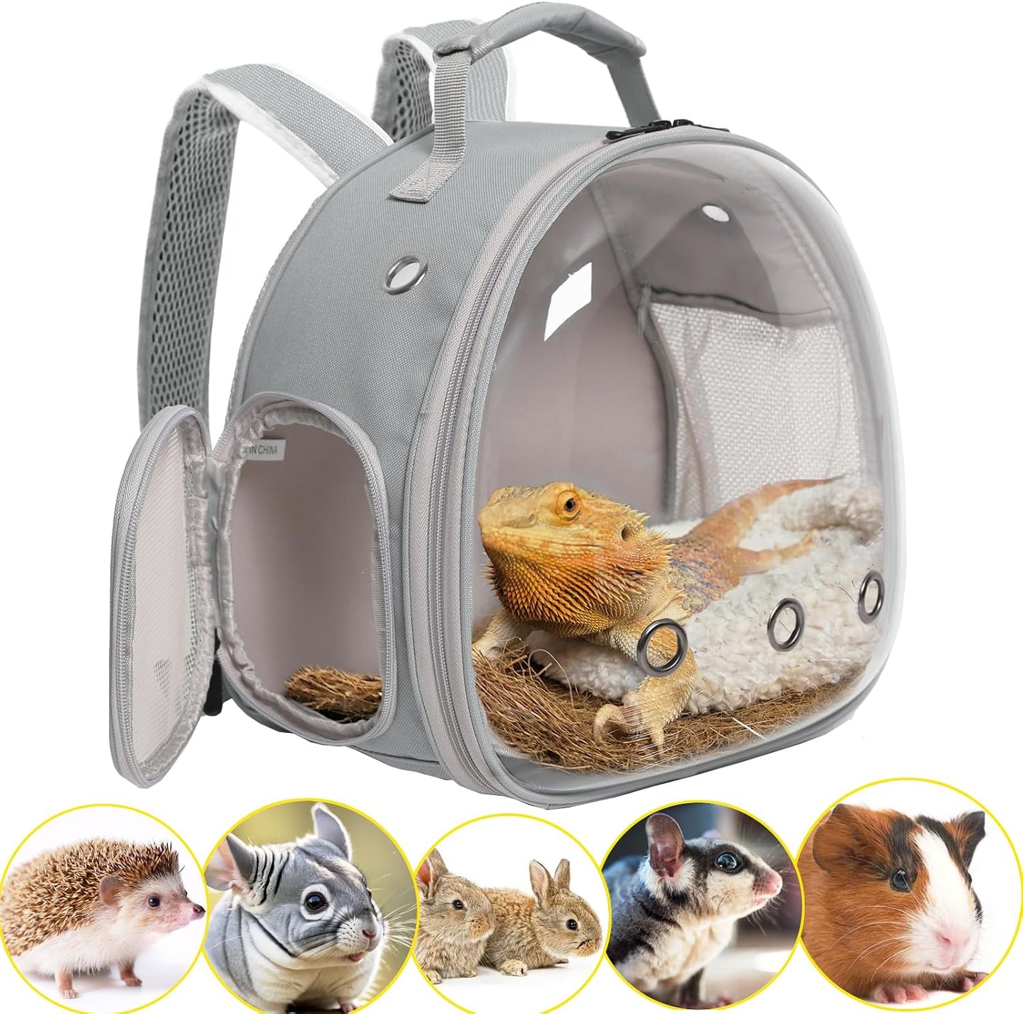 Bearded Dragon Carrier,Lizards Carrier, Small Animal Travel Carrier for Hedgehog Rat Parrot Bird Guinea Pig, Portable Guinea Pig Travel Carrier for 2(Grey)