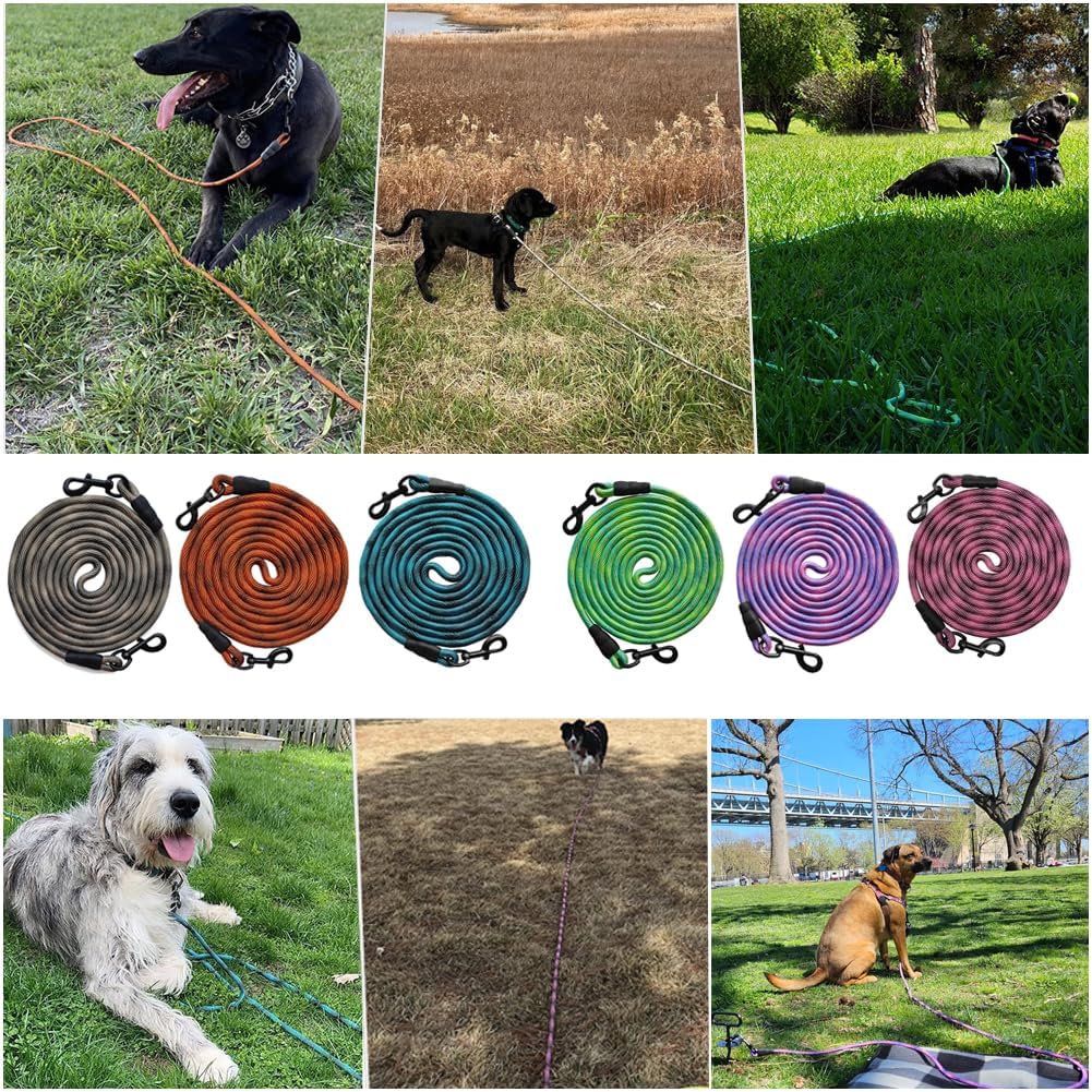 BTINESFUL Tie-Out Check Cord Long Rope Dog Tether, 8ft 12ft 20ft 30ft 50ft Dog Lead for Yard, Large Medium Dogs Oudoor Training, Playing, Camping, or Backyard (30ft, Beige Black)