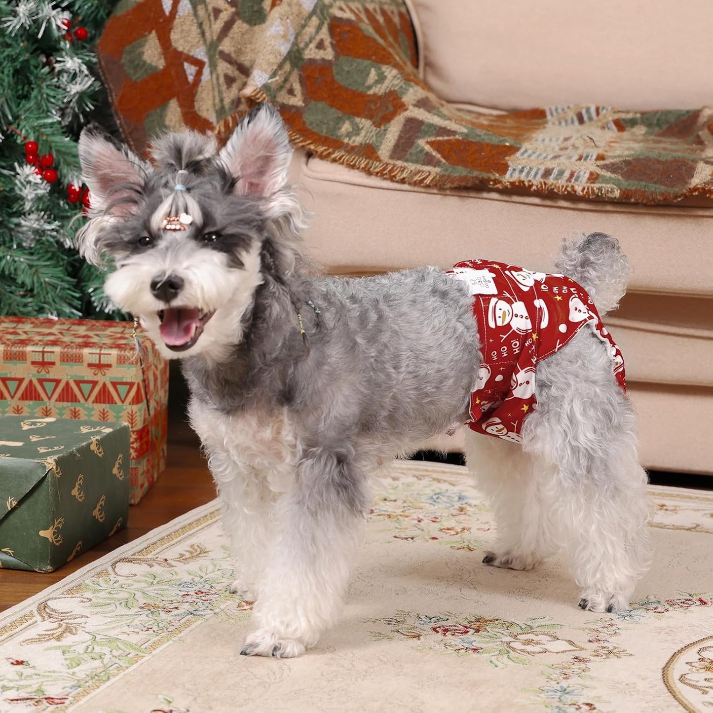 CuteBone Dog Diapers Female Washable Small Medium Large 3 Pack Reusable Doggie Diapers Puppy Period Pants for Doggy Heat Cycle Peeing D75M