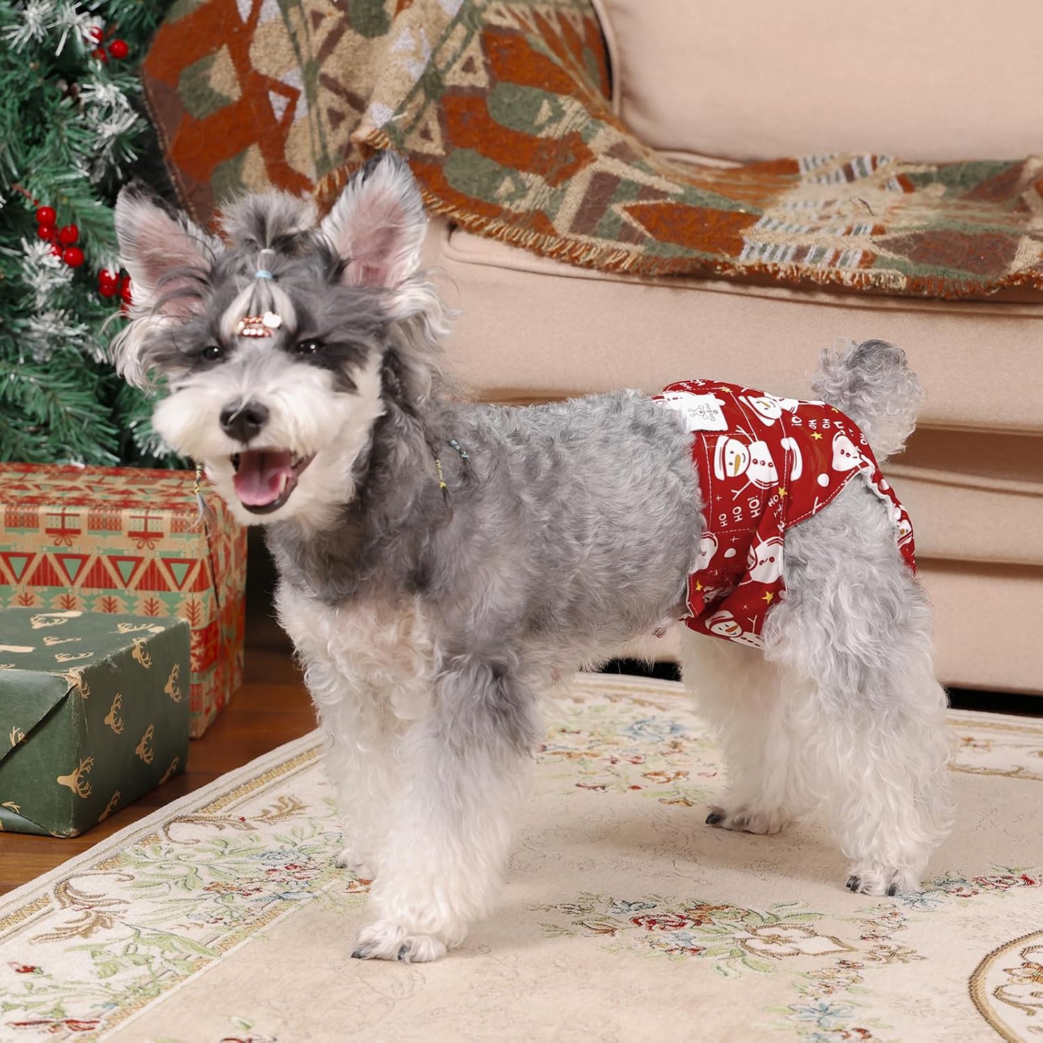 CuteBone Dog Diapers Female Washable Small Medium Large 3 Pack Reusable Doggie Diapers Puppy Period Pants for Doggy Heat Cycle Peeing D75M