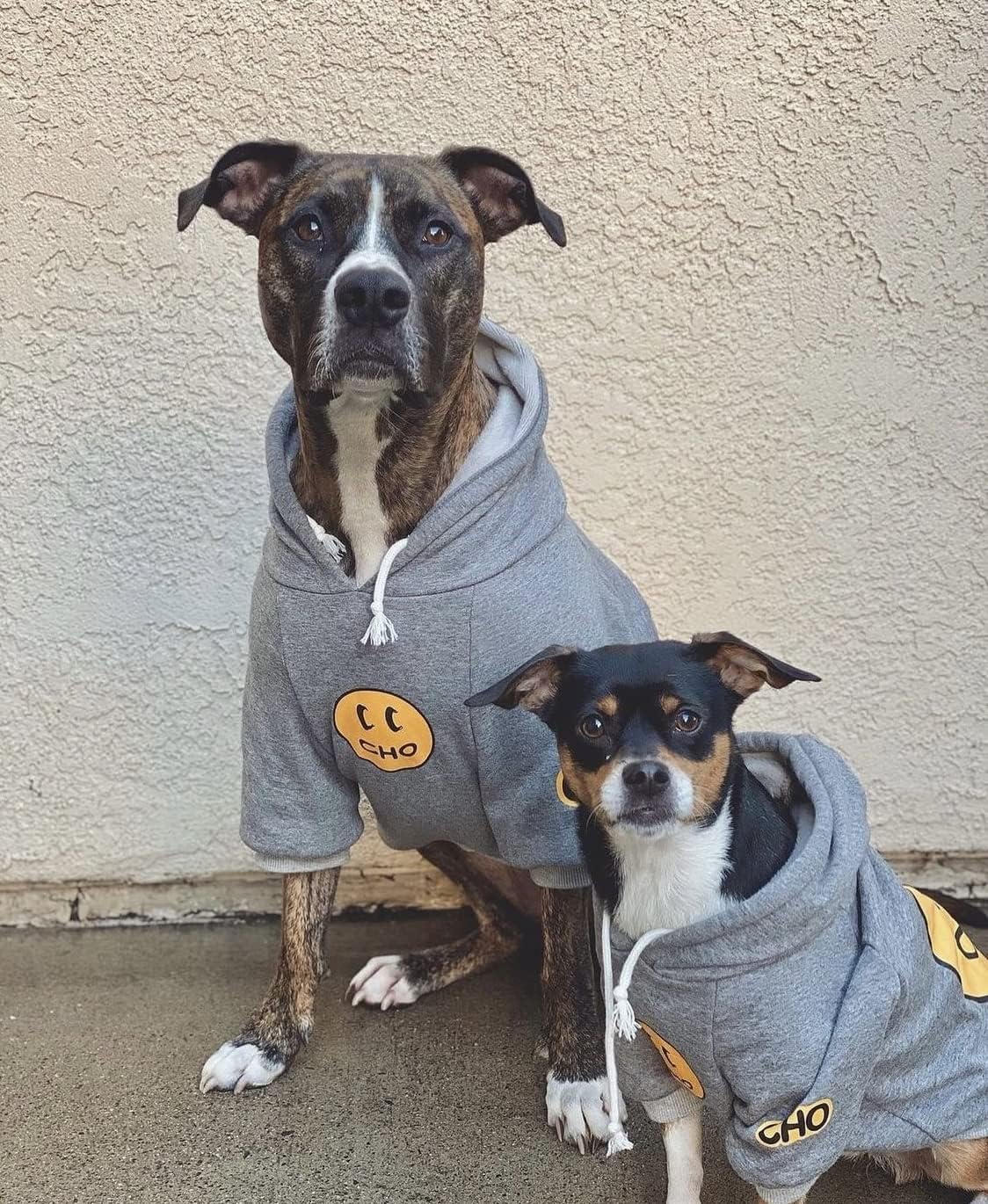 ChoChoCho Smiley Dog Hoodie Stylish Dog Clothes Smiley Face Sweater Cotton Sweatshirt Fashion Outfit for Dogs Cats Puppy Small Medium Large (X-Large, Grey)