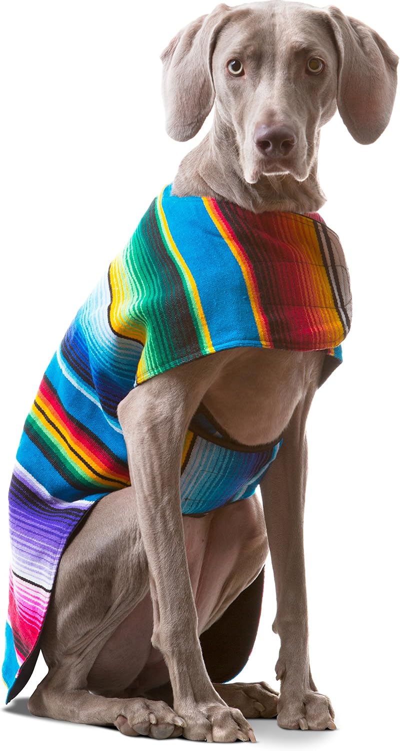 Dog Clothes - Handmade Dog Poncho from Authentic Mexican Blanket by Baja Ponchos (Blue, XXL)