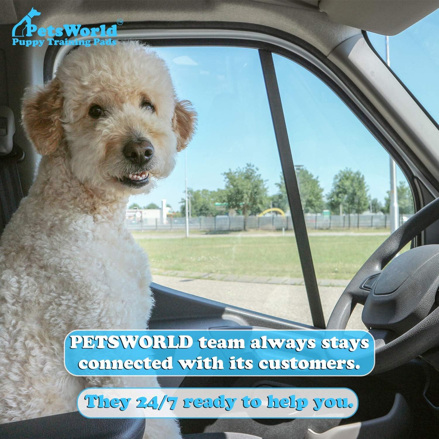 PetsWorld 2XL Dog Pee Pads 28"x44" 100 Count – Extra Large Pet Pee Pads for Dogs & Puppies, Heavy Duty Leak-Proof Dog Training Pads, Super Absorbent Quick-Dry Potty Pads with Odor Control