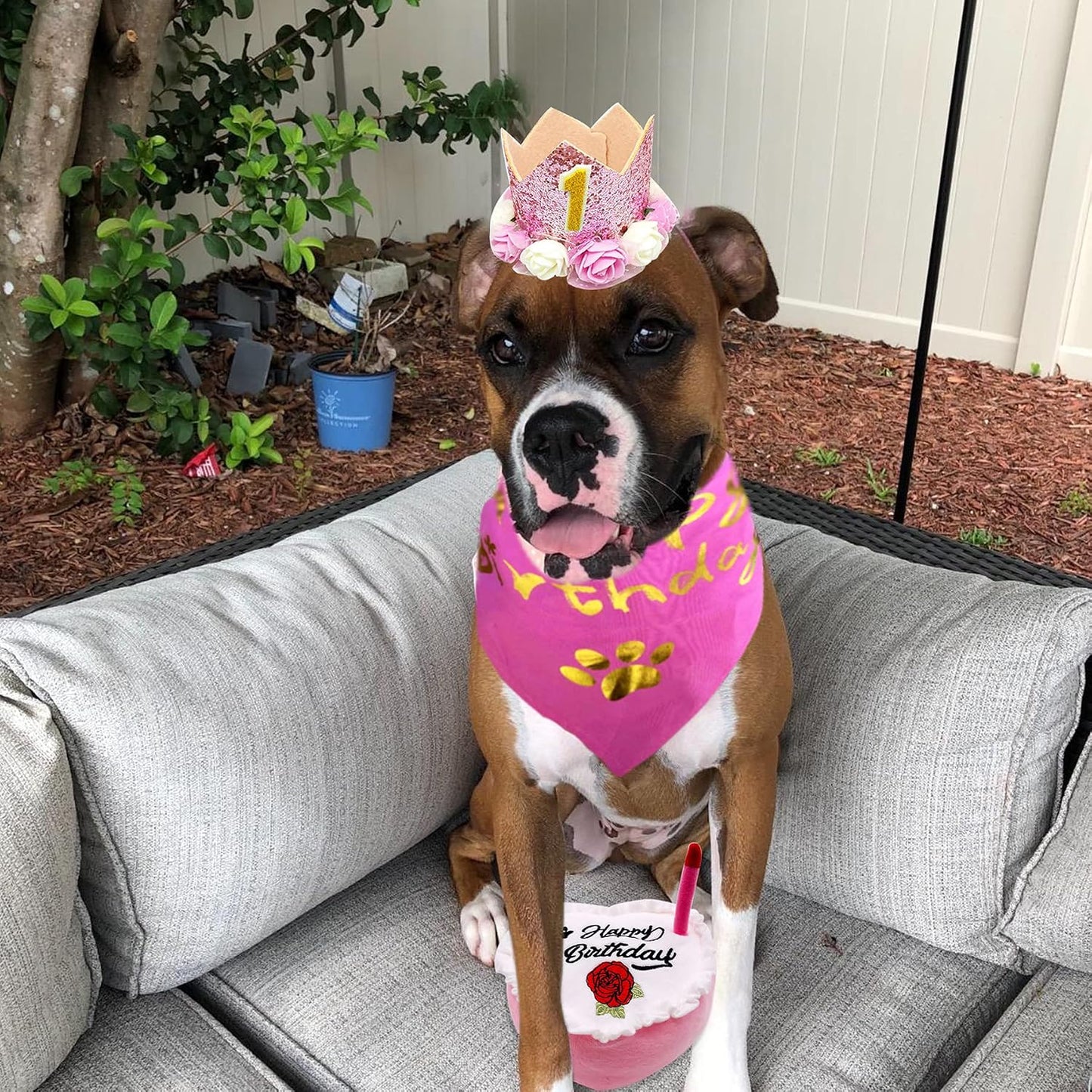 PET SHOW Small Dog Birthday Bandana Set Pink for Girls with Puppy Crown Hat and Heart Plush Cake Toy with Bell Inside Doggies Happy Birthday Party Supplies Decorations for Medium Dogs