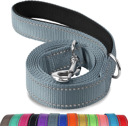 Joytale Dog Leash, 5 FT Double-Sided Reflective, Padded Handle Nylon Heavy Duty Leashes for Small Dogs Walking, Grey