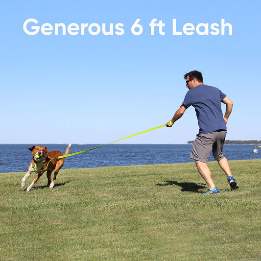 Pawtitas Orange Dog Leash 6 ft M/L Reflective Durable Lightweight Dog Lead for Medium or Large Dogs and Puppies