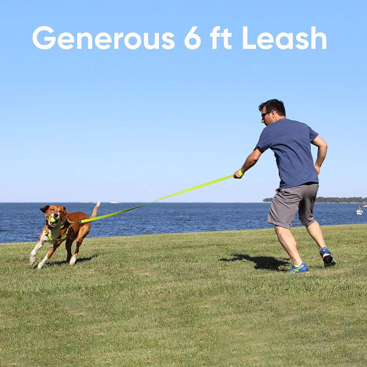 Pawtitas Orchid Dog Leash 6 ft XS/S Reflective Durable Lightweight Dog Lead for Small Dogs and Puppies
