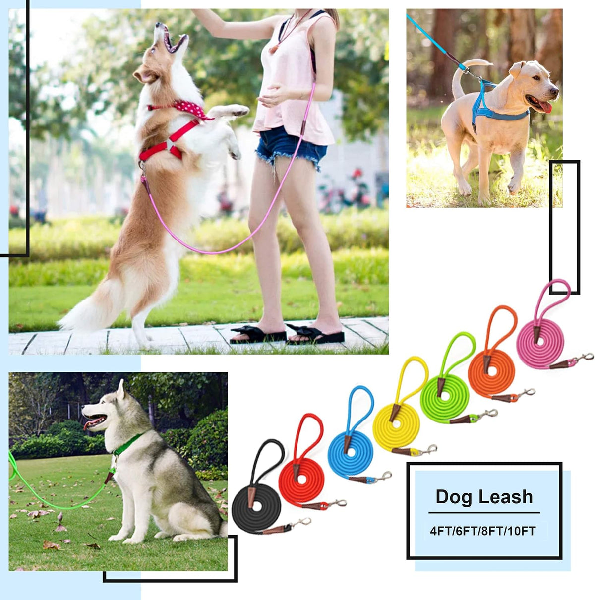 MayPaw 4FT/6FT/8FT/10FT Dog Leash, Classic Solid Colors, Durable Mountain Climbing Rope Dog Leash Reinforced with Leather Tailor Connection Heavy Duty Silver Clasp