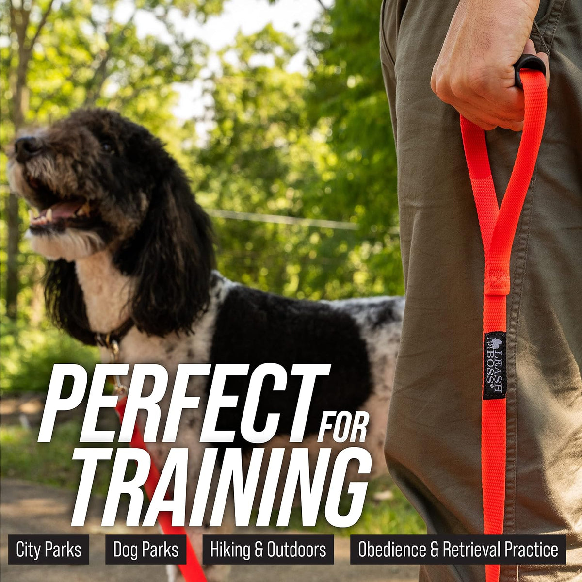 Leash Boss Long Trainer - 1 Inch Nylon Long Dog Training Leash with Storage Strap (15 Ft, Black)
