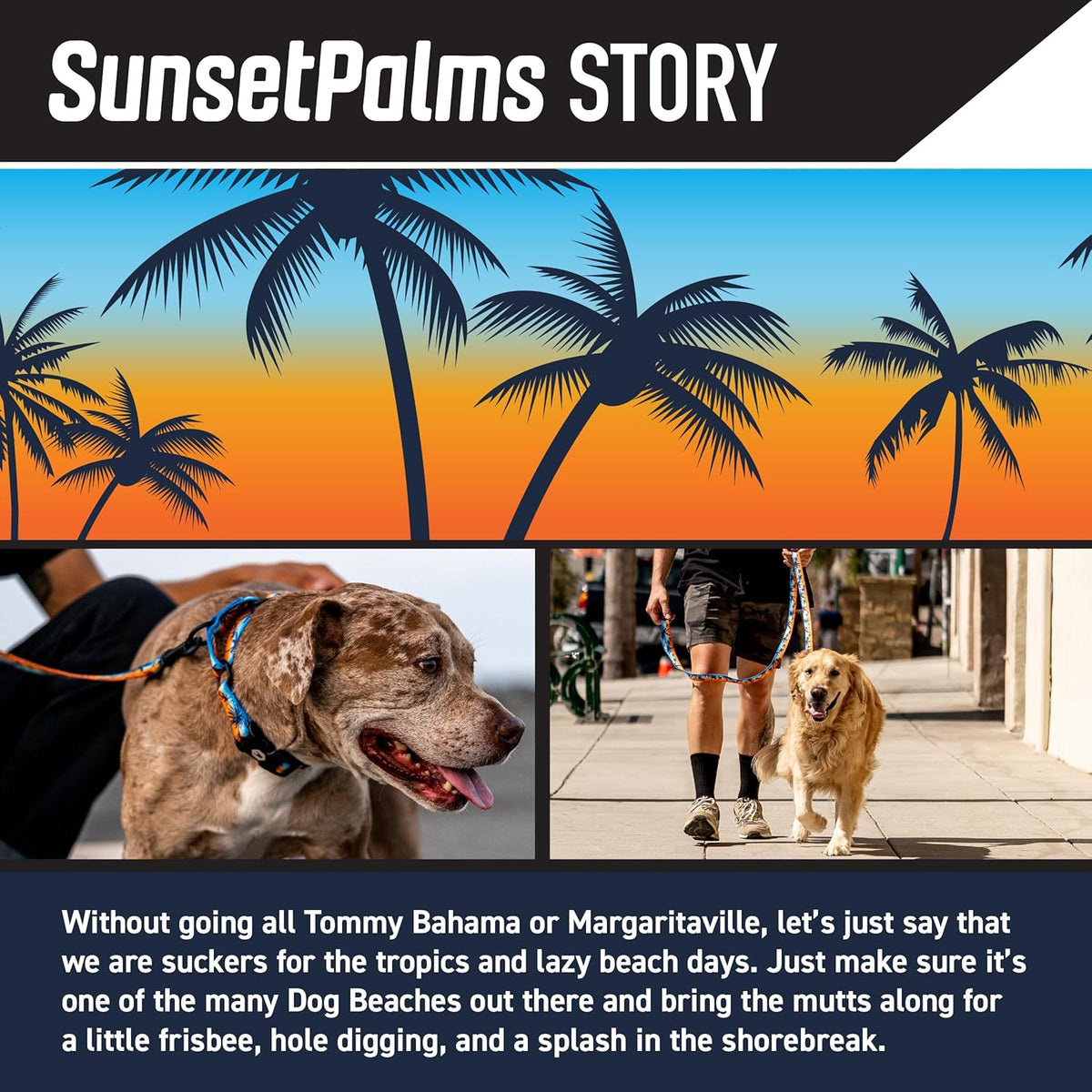 Wolfgang Heavy Duty, Adjustable Dog Collar with Quick Release Nylon Buckle for Walking & Training, SunsetPalms Print, Medium
