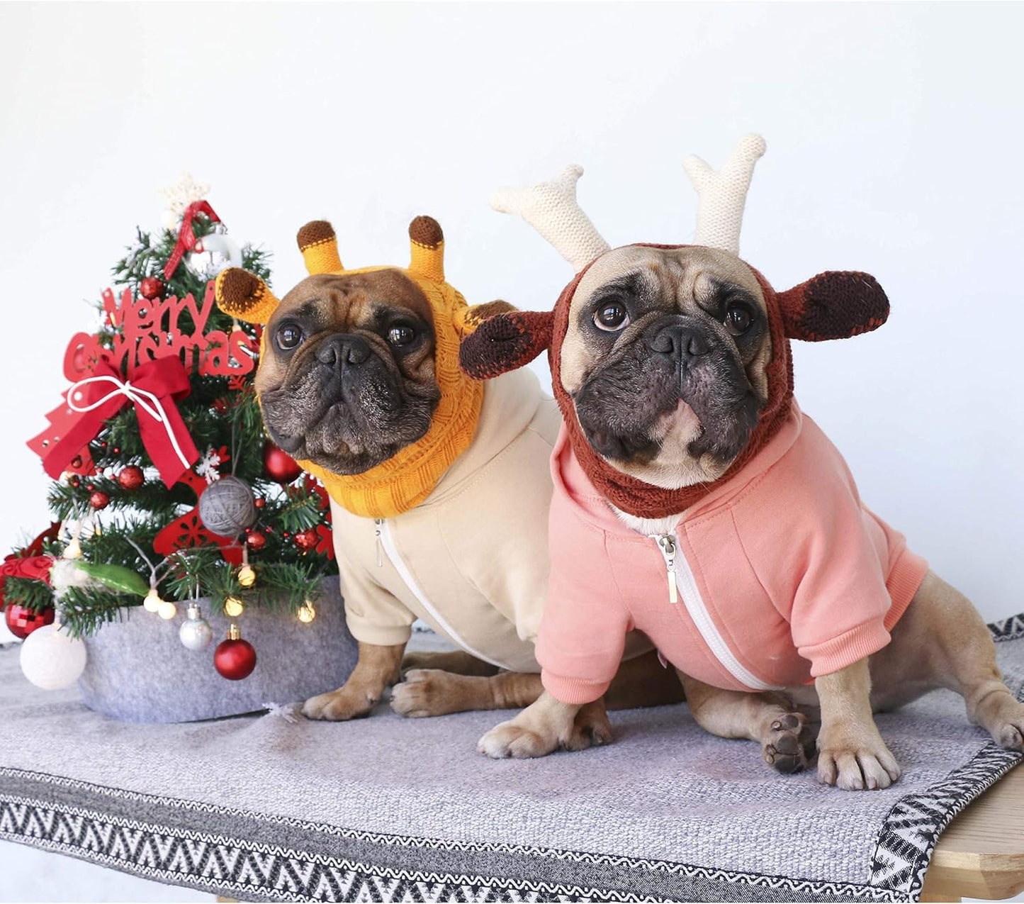 iChoue French Bulldog Frenchie Clothes Hoodies for Dogs Pug English Boston Terrier Bully Pitbull Corgi Sweatshirt Sweater Clothing - Khaki/XLarge