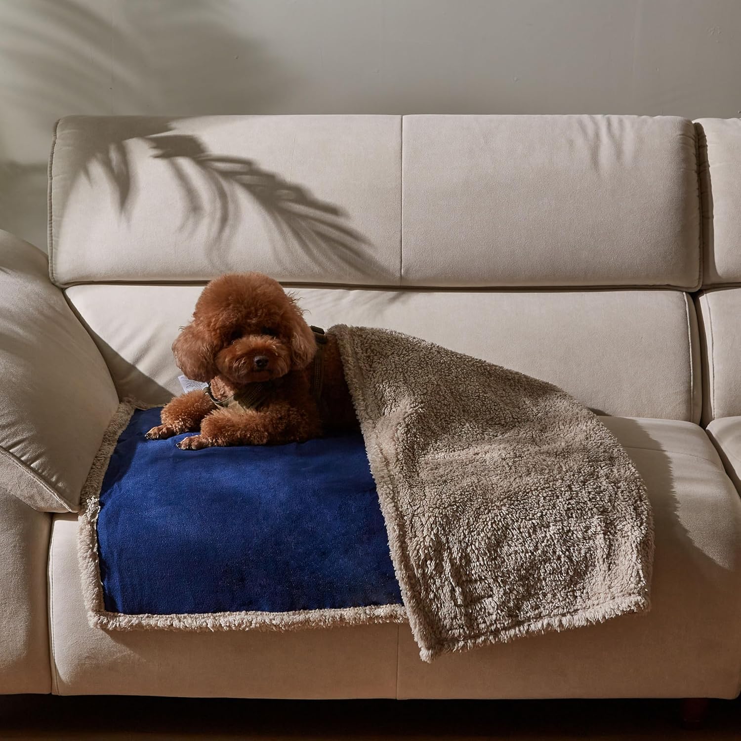 Kritter Planet Waterproof Reversible Pet Blanket for Small Dogs | 30 x 50 Inch, Washable Pet Protector for Sofa, Couch, Crates and Car Seats, Guards Against Fur, Dirt and Everyday Spills