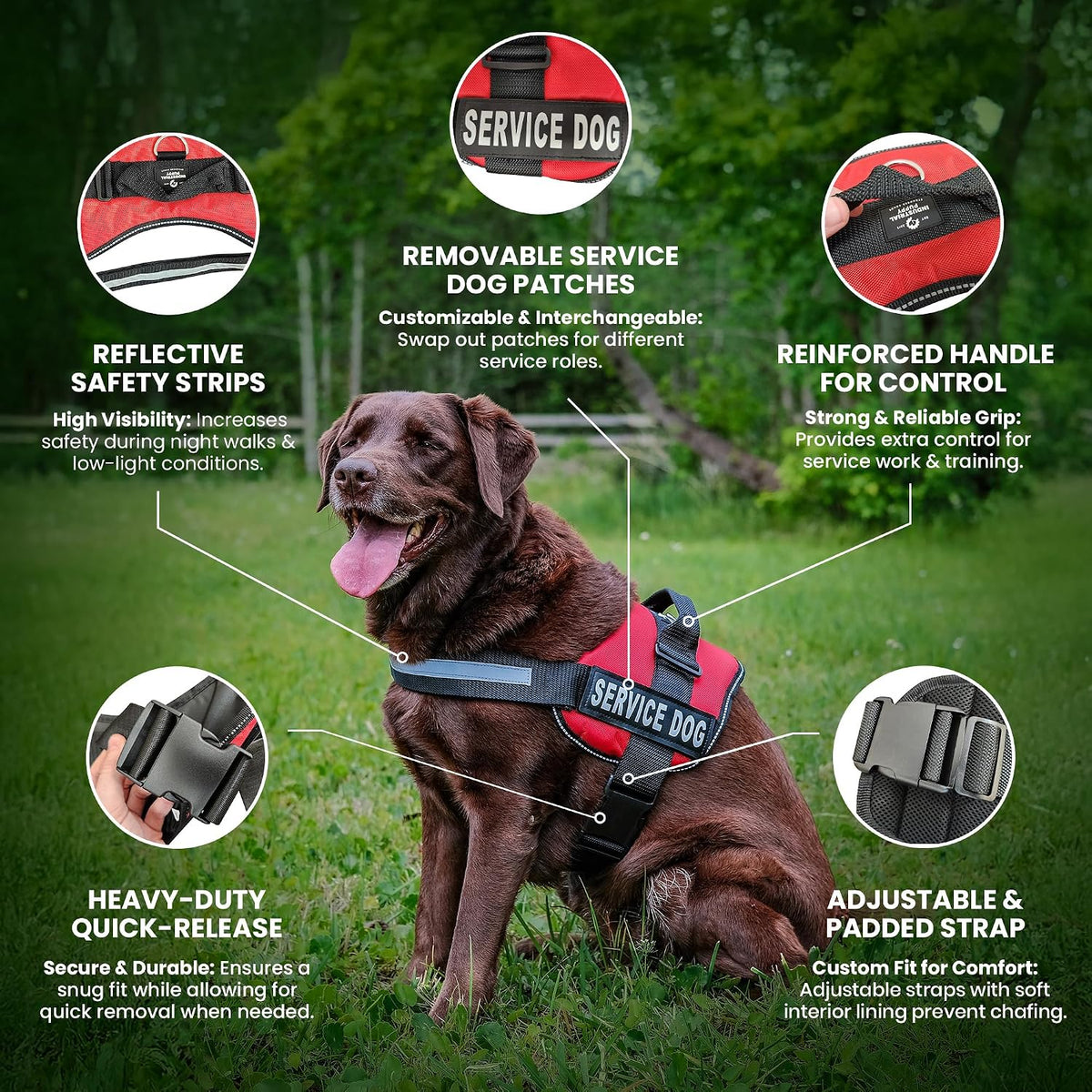 Industrial Puppy Service Dog Vest with Hook and Loop Straps and Matching Service Dog Leash Set - Harnesses from XXS to XXL - Harness Features Reflective Patch and Comfortable Mesh Design