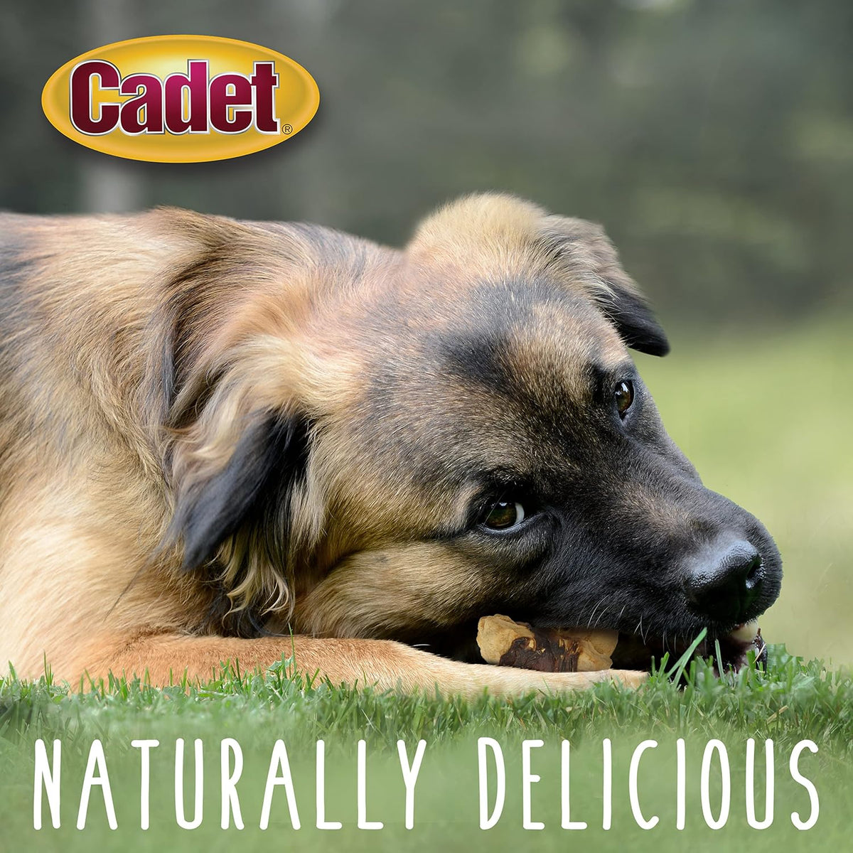Cadet Gourmet Apple & Chicken Dog Treats Wraps - Healthy & Natural Chicken & Apple Dog Training Treats for Small & Large Breeds - Inspected & Tested in USA (28 oz.)