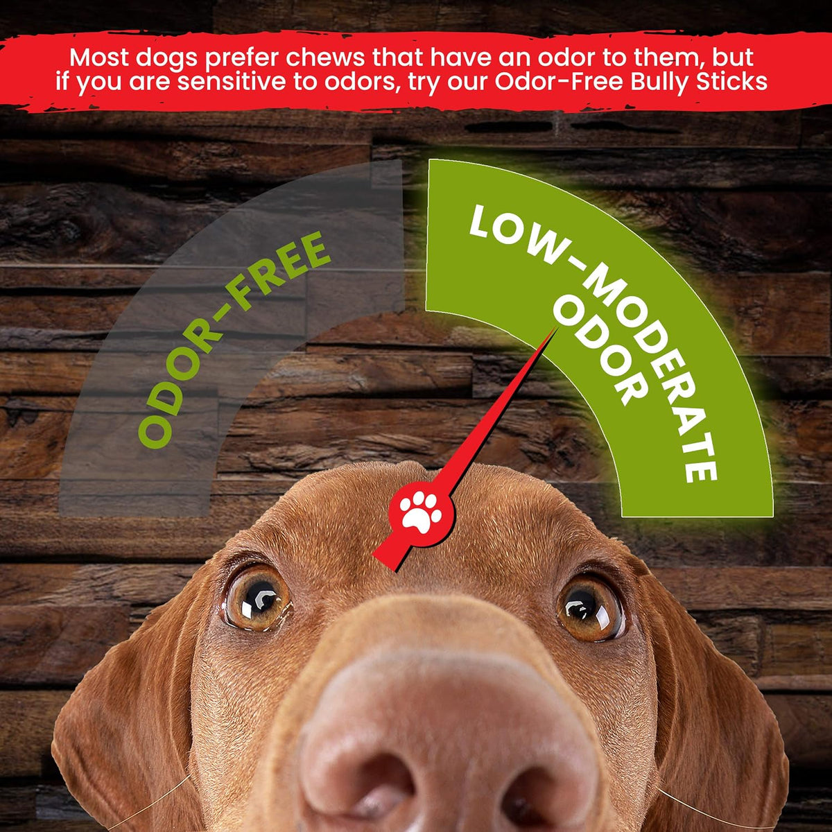 Sancho & Lola's Bully Sticks for Dogs -12-Inch Moderate Odor High-Protein Grain-Free Beef Pizzle Dog Chews