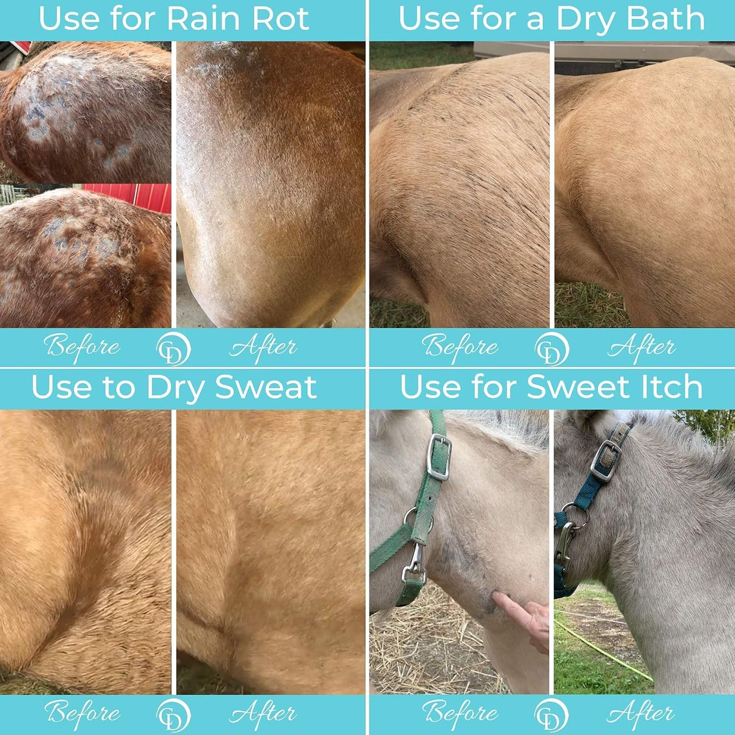 COAT DEFENSE Daily Preventative Powder & Rain Rot Treatment for Horses | Safe & Effective Equine Sweet Itch, Skin Funk, Scratches | Dry Horse Shampoo, 64 oz. | All Natural Ingredients